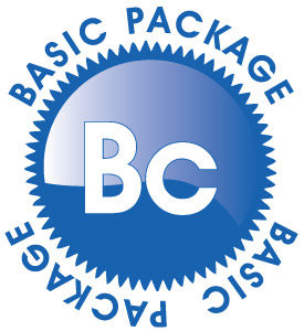 Basic Logo Design Package