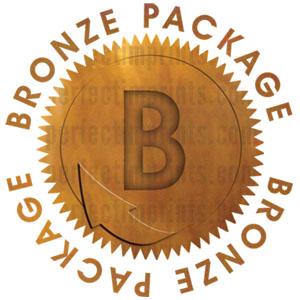 Bronze Logo Design Package