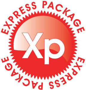 Express Logo Design Package