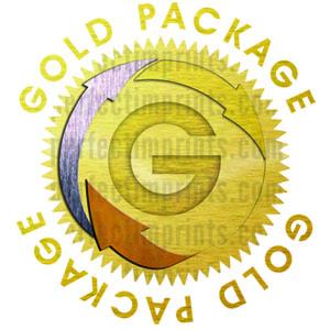 Gold Logo Design Package