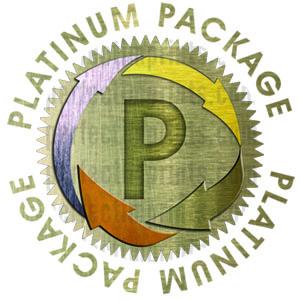 Platinum Logo Design Package