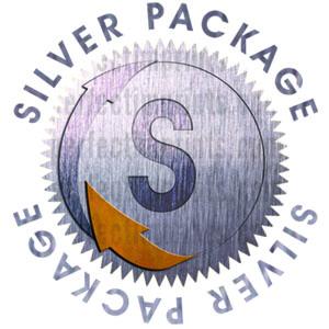Silver Logo Design