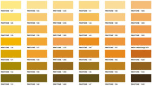 Part of the PMS Color Chart